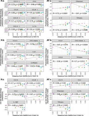 Human cytokine and coronavirus nucleocapsid protein interactivity using large-scale virtual screens